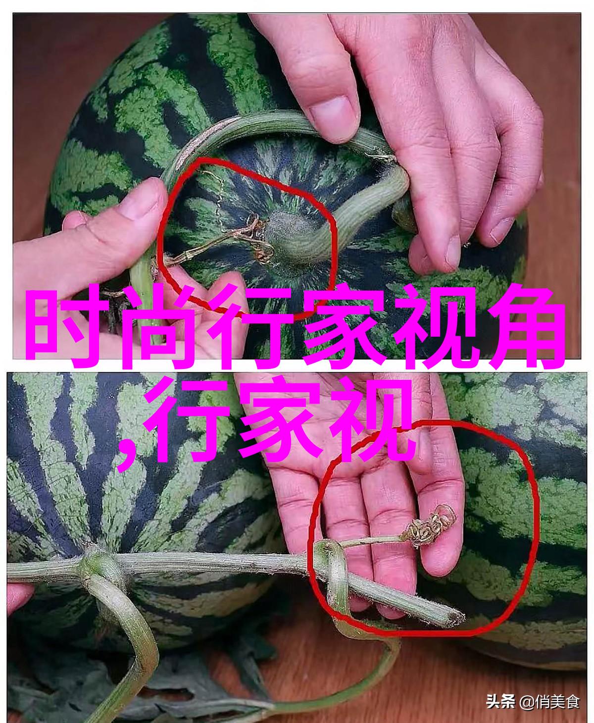 流行钢琴即兴伴奏直播视频(流行钢琴即兴伴奏教学视频)